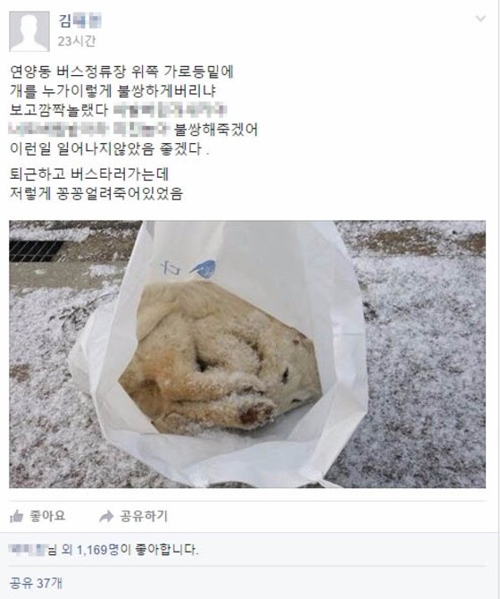 얼어 죽은 강아지가 비닐봉투에서 발견돼 네티즌들의 공분을 사고 있다.(사진 페이스북 여주사람들 페이지 캡처)© News1