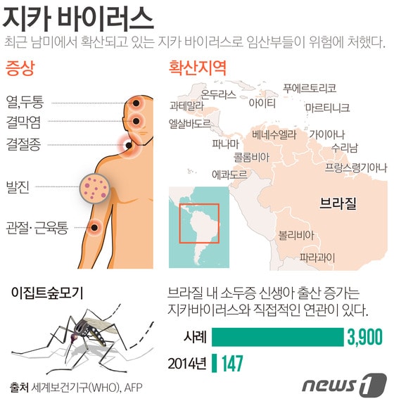 지카바이러스 감염증 주요 증상 및 확산 지역 현황./© News1 방은영 디자이너