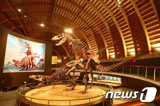 육식공룡의 짝짓기 전시(아스투리아스쥬리기박물관관). 사진-문화재청 제공 © News1
