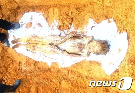 광주이씨 문경공지파 문중의 묘역에서 발견된 미이라.(이병채 전 남원문화원장 제공)2016.10.20/© News1
