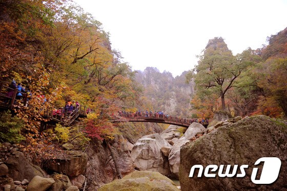 2016년 강원도 양양군 서면 오색리 설악산 주전골 주변 자료 사진. © News1 