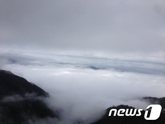 힘겹게 오른 성삼재 정상, 구름이 짙게 드리운 지리산의 풍경© News1