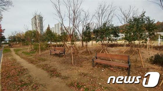 올해 군산고등학교에 조성한 명상숲.© News1