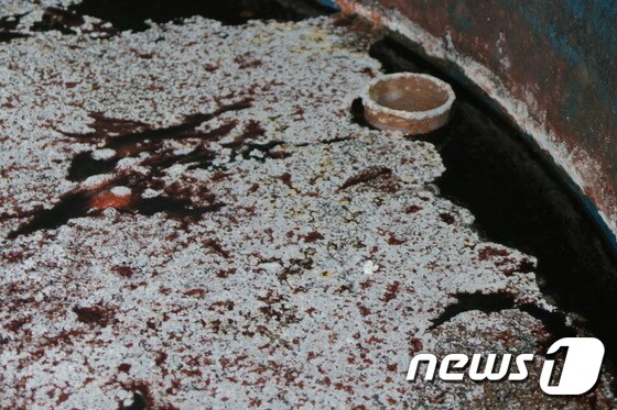 서귀포 모 수협이 제조·가공한 멸치액젓에 구더기가 둥둥 떠 있는 모습. (서귀포경찰서 제공) 2016.12.08/뉴스1 © News1