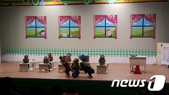 경기도 고양에서 열리고 있는 원숭이학교 일산 스페셜 공연에서 원숭이들이 묘기를 부리고 있다. © News1