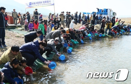 섬진강 어린연어 방류 (구례군 제공)© News1