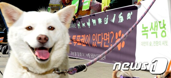 녹색당이 지난해 3월 15일 오후 서울 광화문광장에서 동물권 정책 발표 기자회견을 하고 있다. (자료사진)/뉴스1 © News1 황기선 기자