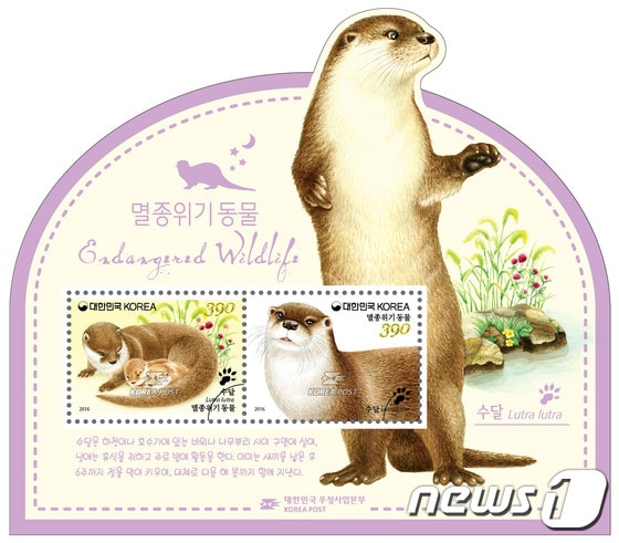 '수달'을 소재로 한 우표 발행(사진제공=강원우정청)/뉴스1  © News1