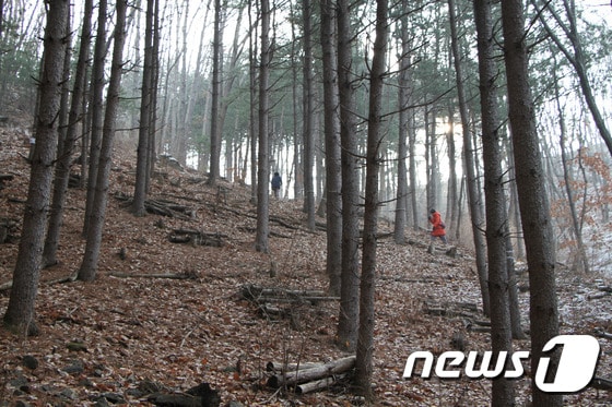 강원도 홍천 ‘힐리언스 선마을’ © News1 