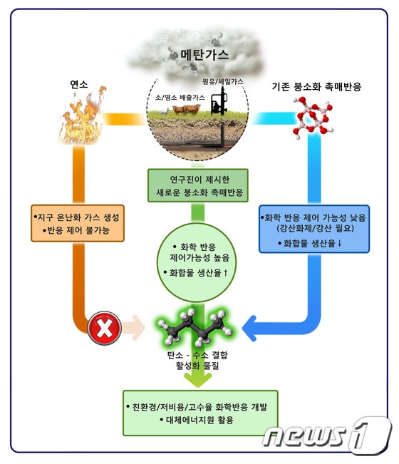 메탄가스의 탄소-수소 결합 활성화 반응물을 위한 연구진 실험 내용.© News1