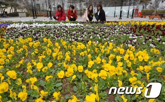 서울 성동구 왕십리역 광장에서 시민들이 봄꽃을 보며 봄 날씨를 만끽하고 있다. 2016.3.3/뉴스1 © News1 송원영 기자