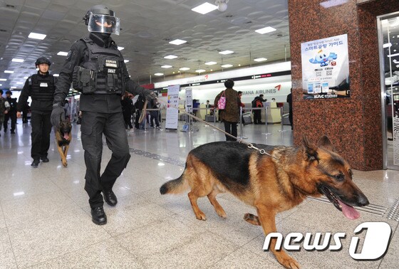 광주 광산구 광주공항에서 경찰특공대원들이 폭발물 탐지견과 함께 공항을 수색하고 있다./뉴스1DB © News1 
