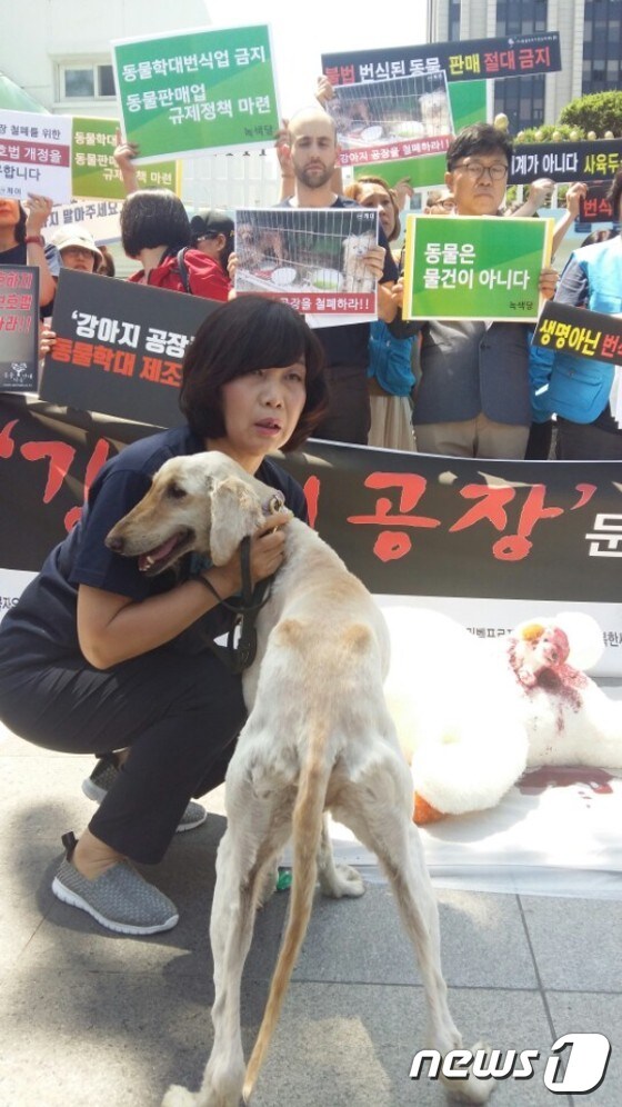 동물자유연대 조희경 대표가 전남 화순 한 강아지 공장에서 구조한 어미견 '신디'를 안고 있다.© News1