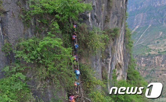 중국 쓰촨성(四川省) 량산이족자치주 아투러얼촌 아이들이 800m 절벽을 타고 학교에 가고 있다. (중국 베이징뉴스) © News1