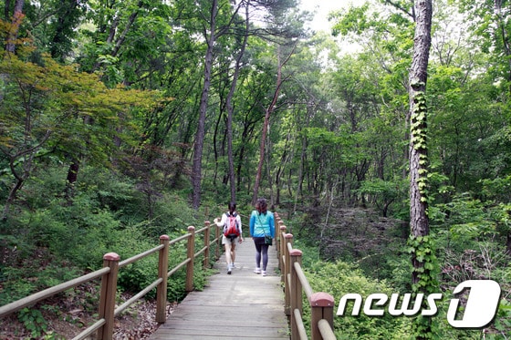 삼림욕장. 이주영 작가 © News1