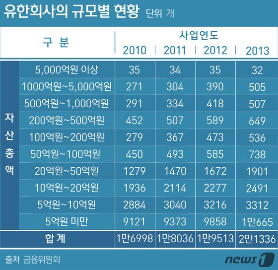*2014년 말 기준 국내 유한회사 총수는 2만5290개(국세청 통계)© News1 방은영 디자이너