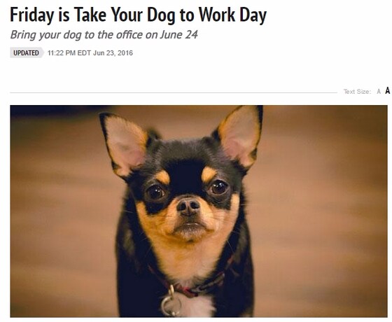 미국 지역방송 WLWT-TV 등 외신들은 23일(현지시간) '반려견과 출근하는 날(Take Your Dog to Work Day)'을 하루 앞두고 사내에서 지켜야 할 에티켓과 반려견과 동반 출근의 이점들을 소개했다.(사진 관련기사캡처)© News1