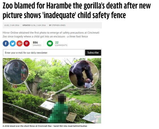 영국 메트로 등 외신들은 지난 2일 고릴라 우리에 들어간 소년을 구하기 위해 고릴라 하람비(17·수컷)를 사살한 신시내티 동물원과 부모를 향한 비난이 지속되고 있다고 전했다.(미러 관련 보도 캡처)© News1