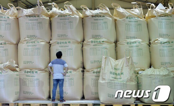 경기 고양시 일산서구의 한 양곡보관창고에 재고로 쌓인 벼들이 가득차 있다. © News1 박지혜 기자