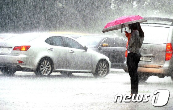 1일 오후 폭우가 쏟아지자 서울 서초구 고속터미널 인근 횡단보도에서 한 시민이 우산을 쓴 채 비를 피하고 있다. /뉴스1 DB