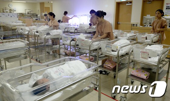 서울 중구 묵정동 제일병원 신생아실에서 간호사들이 신생아들을 돌보고 있다. 2016.7.11/뉴스1 © News1 안은나 기자