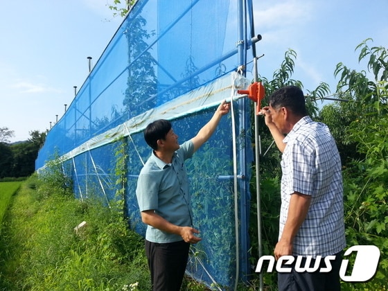 옥천군이 올해 설치한 다기능방풍벽의 모습. (옥천군 제공)© News1