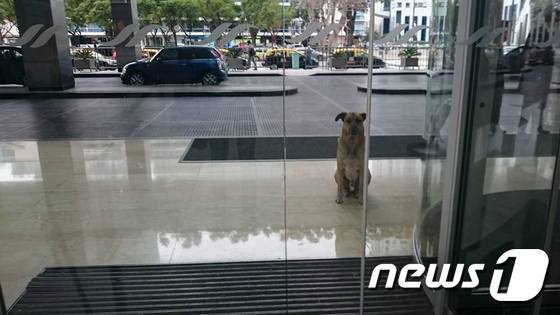 호텔 앞에서 올리비아를 기다리던 루비오. (사진 올리비아 시에버스 페이스북) © News1