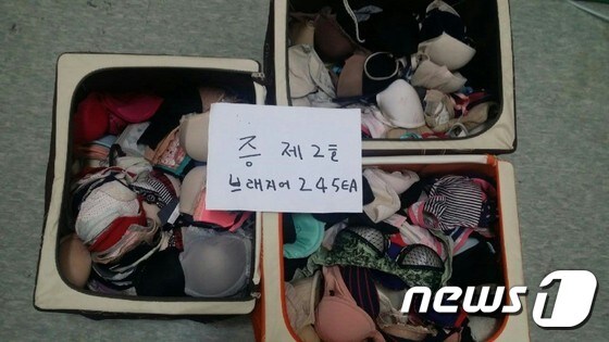 김씨가 훔친 여성속옷 상위. © News1
