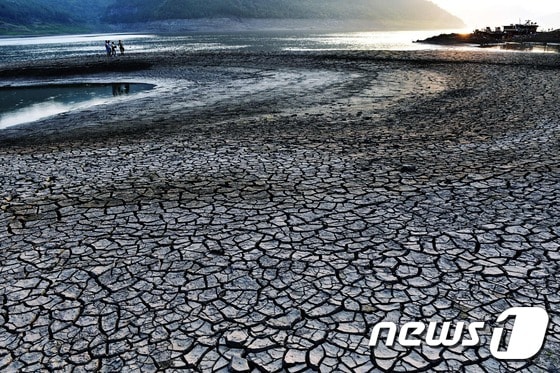 중국 충칭시 윈양현에 있는 양쯔강 인근 땅이 거북이 등껍질처럼 갈라져 있다. 사진은 2016년 8월 24일 촬영됐다. 충칭시 기상국은 당시 14일부터 12일 동안 폭염주의보를 발령했다. © AFP=뉴스1 © News1 최종일 기자
