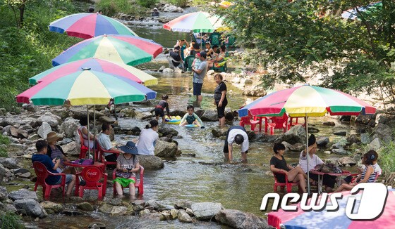 계곡에서 여름 휴가를 보내는 시민들의 모습. /뉴스1 © News1