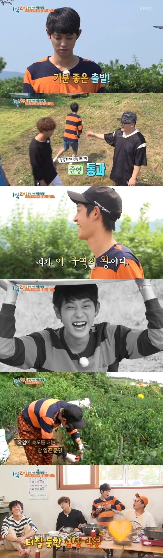 25일 방송된 '1박2일'에서는 서산에서 벌어진 농촌 일손 돕기 모습이 공개됐다. © News1star / KBS2 '1박2일' 캡처