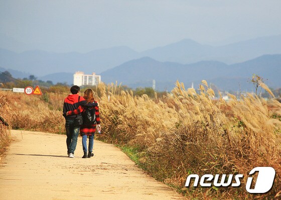 창원 주남 저수지의 가을 © News1