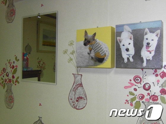 벽에 걸려 있는 초롱이 사진(왼쪽)과 흰돌이, 흰순이 사진. © News1