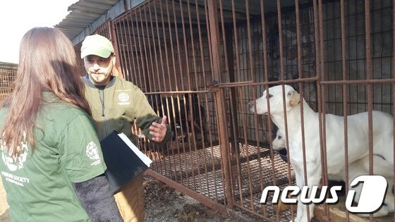 아담 파라스칸돌라 HSI 동물보호·재난 구조팀 이사와 김나라 HSI 캠페인 매니저가 줄리엣과 레오의 구조에 대해 이야기를 나누고 있다. © News1