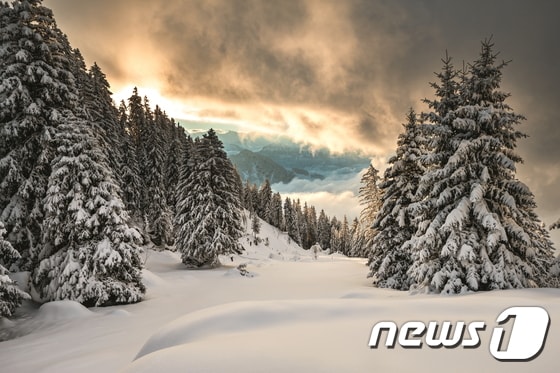 눈으로 뒤덮인 리기산 풍경.(이미지제공=스위스관광청)© News1