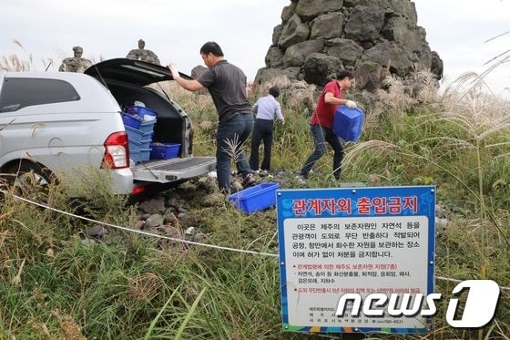 제주시 공무원들이 관광객들이 무단 반출하려다 적발된 돌들을 회수해 돌문화공원에 옮기고 있다.© News1