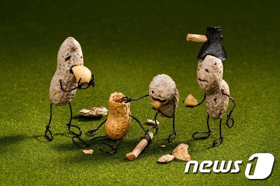 테리 보더, 뇌를 먹는 땅콩 좀비 Zombies Are Nuts about Brains (사비나미술관 제공) © News1