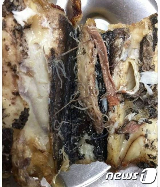의정부시내 모 고교 급식 시간에 학생의 식판에서 발견된 고래회충 © News1