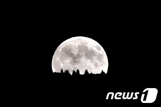 달.(자료사진) © AFP=뉴스1