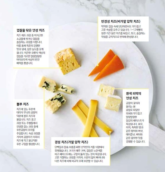 (오른쪽 위 주황색 치즈로부터 시계방향) 미몰레트, 브리, 콩테, 블루, 리바로 치즈(사진제공: 프랑스 국립낙농협회(CNIEL), 소팩사 코리아.)© News1
