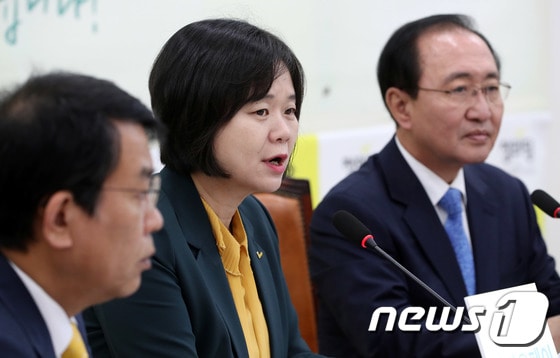 이정미 정의당 대표. /뉴스1 © News1 박정호 기자