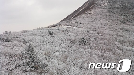 강원 설악산 일대가 밤사이 내린 눈으로 새하얀 풍경을 연출하고 있다. (뉴스1 DB)