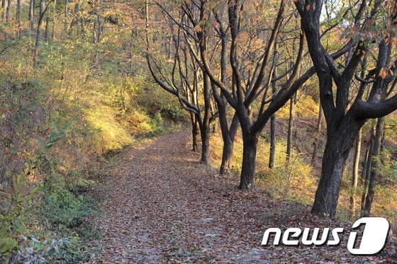 인천 삼형제섬길  © News1