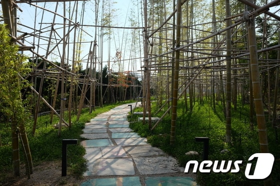 맹종죽 숲 길의 디딤돌은 옛 공장 바닥을 활용했다. © News1 윤슬빈 기자
