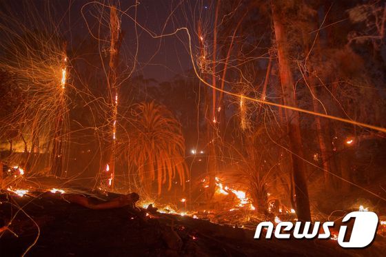 강풍을 타고 번지고 있는 캘리포니아주 산불. © AFP=뉴스1