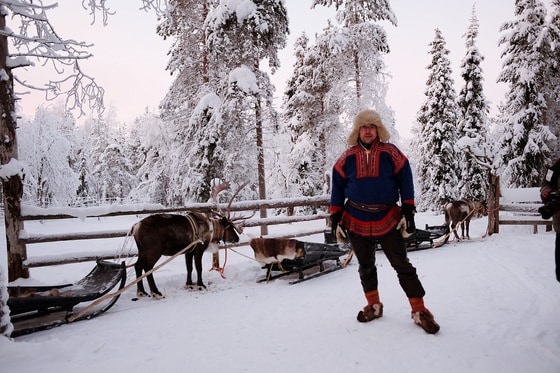 핀란드 레비에선 루돌프의 모델인 순록이 끄는 썰매를 탈 수 있다.© News1 윤슬빈 기자
