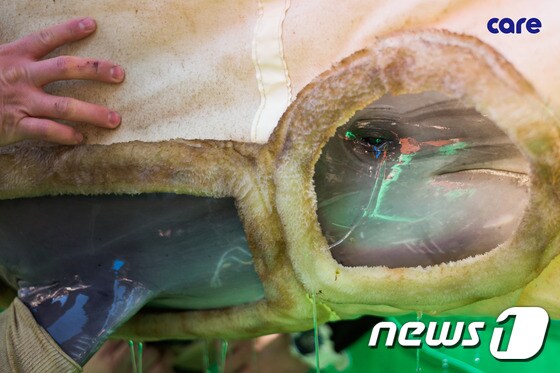 일본 와카야마(和歌山)현 다이지(太地)정에서 온 돌고래가 울산 장생포 고래생태체험관 수조로 옮겨지는 과정에서 눈물을 흘리고 있는 모습.(자료사진)© News1