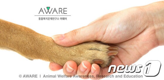 동물복지문제연구소 '어웨어'(대표 이형주)는 동물이 고통에 처한 현실을 인식하는 것이 동물복지를 향상시킬 수 있는 첫걸음이 된다는 인식하고 있다.© News1