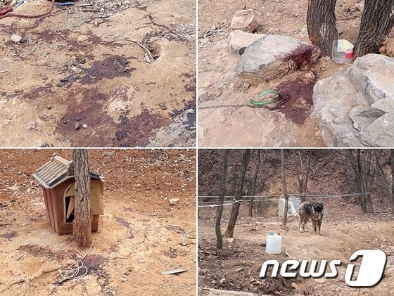 지난 25일 오전 인천 서구 공천동 한 야산에 위치한 농장에서 발생한 끔찍한 동물학대 사건 현장 모습.(사진 동물자유연대 제공)© News1