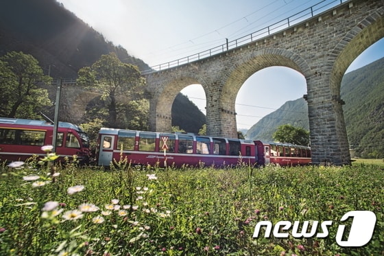 들꽃 풍경을 파노라마로 즐길 수 있는 베르니나 특급 열차. 스위스관광청 제공.© News1